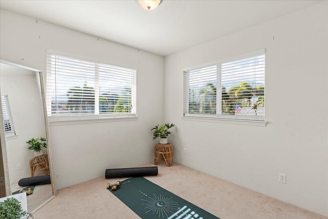 workout room with carpet floors