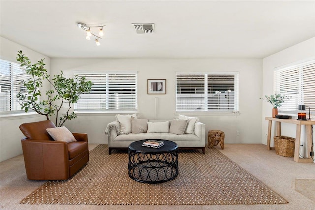 living room with carpet floors