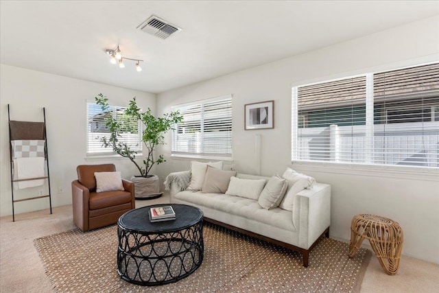 living room with carpet floors