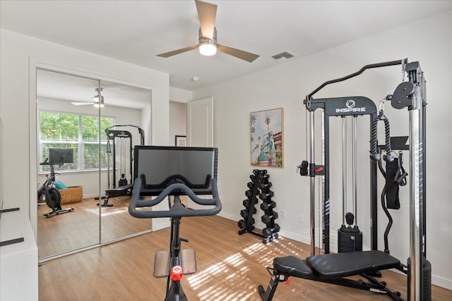 workout area with hardwood / wood-style flooring and ceiling fan