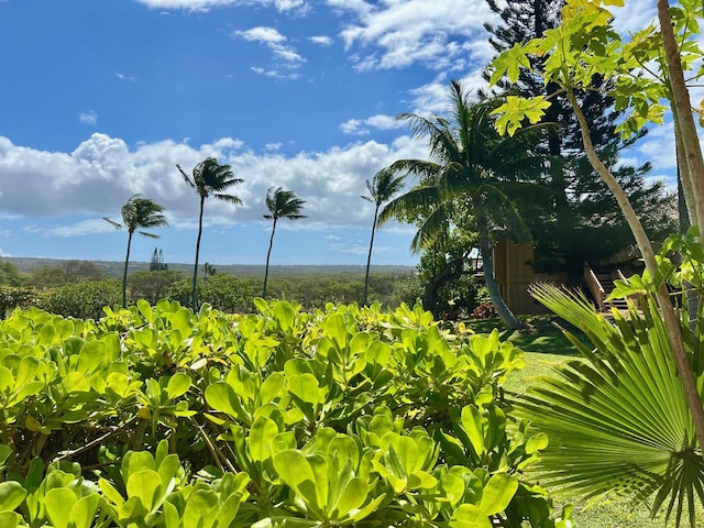 50 Kepuhi Pl Unit 117, Maunaloa, HI 96770 - exterior space