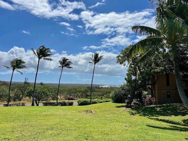 50 Kepuhi Pl Unit 117, Maunaloa, HI 96770 - exterior space featuring a yard
