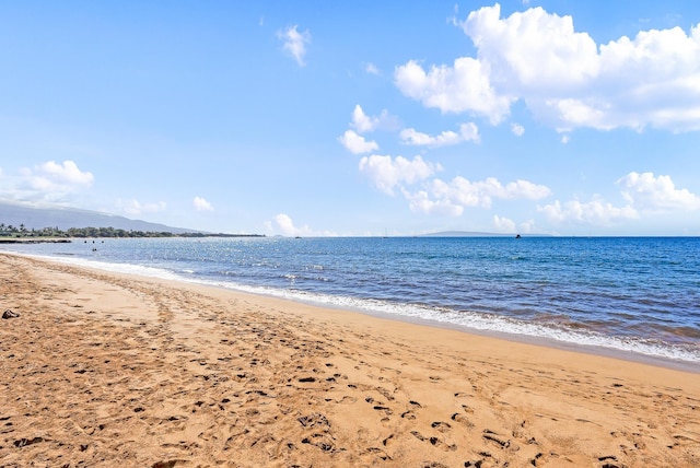 water view with local beach