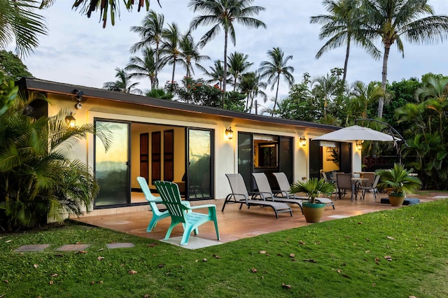 back of house with a patio and a lawn