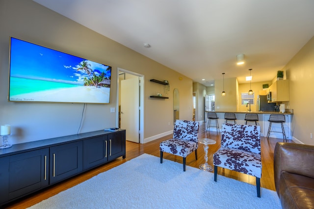 living room with hardwood / wood-style flooring and sink