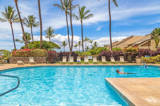 view of pool featuring a patio