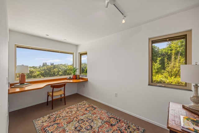 home office with a wealth of natural light and track lighting