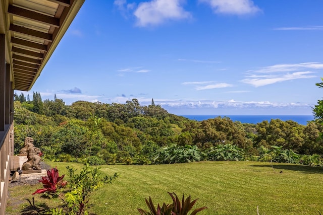 view of yard featuring a water view