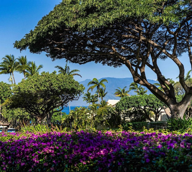 view of water feature featuring a mountain view