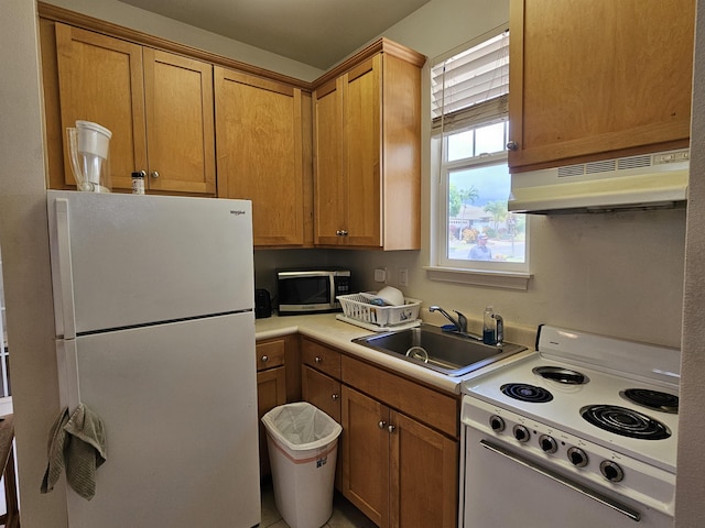 160 Kuli Puu St, Kihei, HI 96753 - kitchen featuring white appliances, under cabinet range hood, light countertops, and brown cabinetry