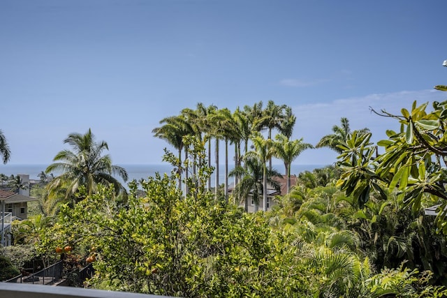 view of nature featuring a water view