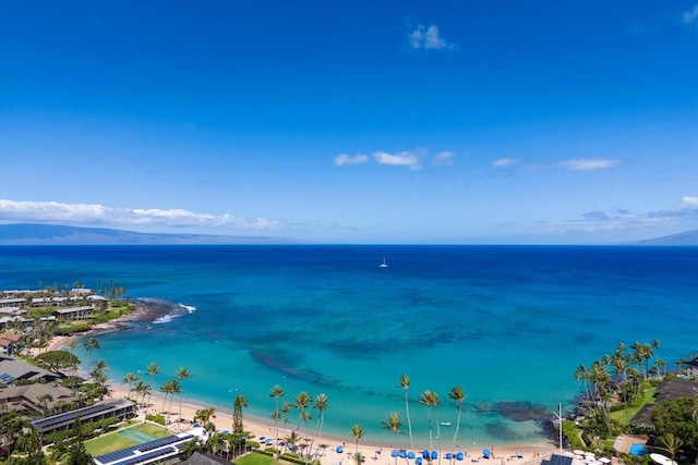 property view of water featuring a view of the beach