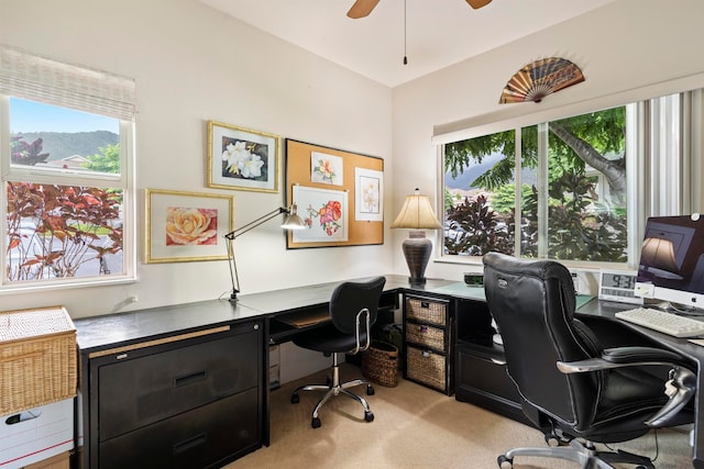 carpeted office space with ceiling fan