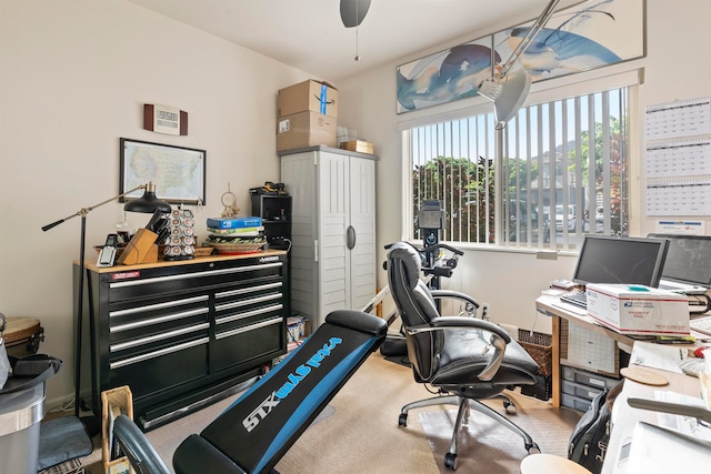 office with carpet floors and ceiling fan