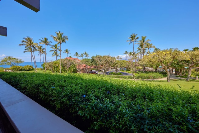 4000 Wailea Alanui Dr Unit 901, Kihei, HI 96753 - view of yard