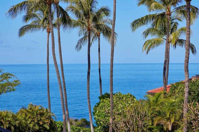 4000 Wailea Alanui Dr Unit 901, Kihei, HI 96753 - water view