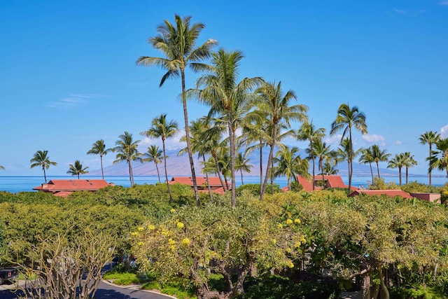 4000 Wailea Alanui Dr Unit 901, Kihei, HI 96753 - water view