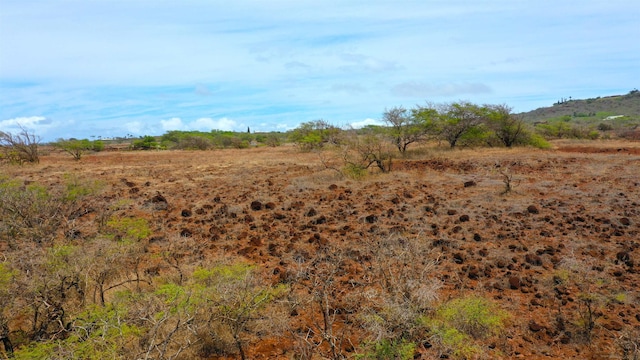 Listing photo 3 for Hao Keehi Pl, Maunaloa HI 96770