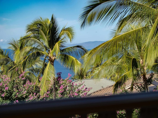 water view with a mountain view