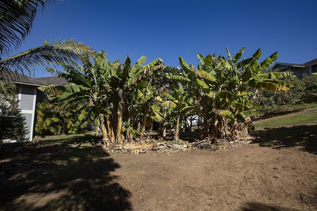 160 Keonekai Rd Unit 7201, Kihei, HI 96753 - view of yard