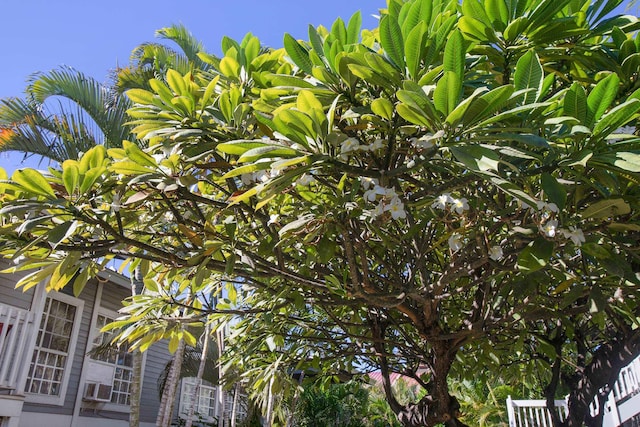 160 Keonekai Rd Unit 7201, Kihei, HI 96753 - exterior view
