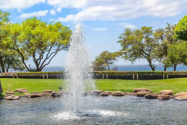 view of community featuring a lawn and a water view