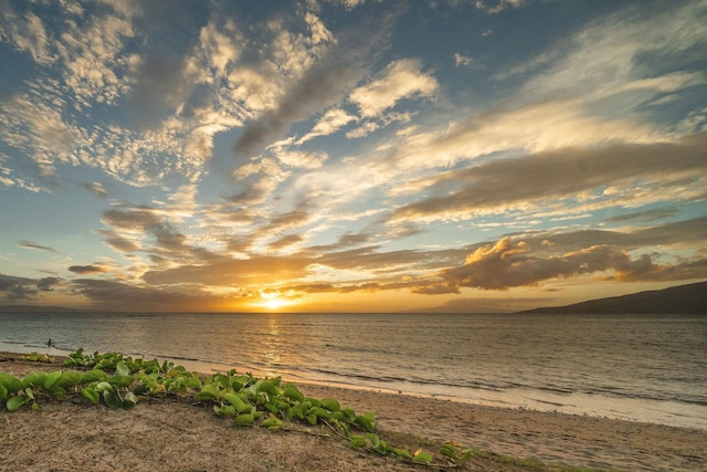 property view of water with a beach view