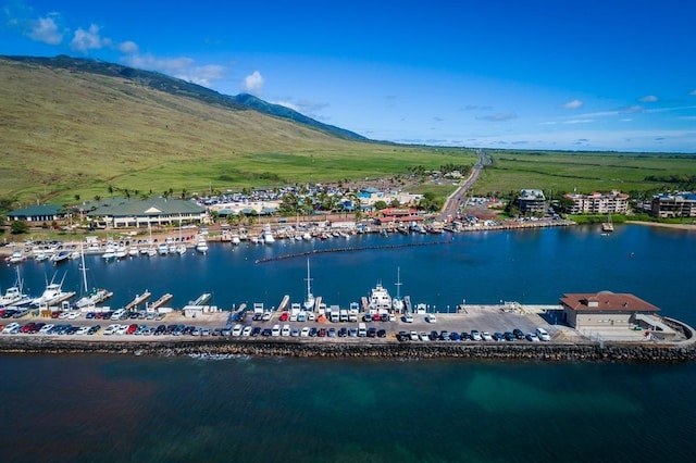 drone / aerial view with a water view