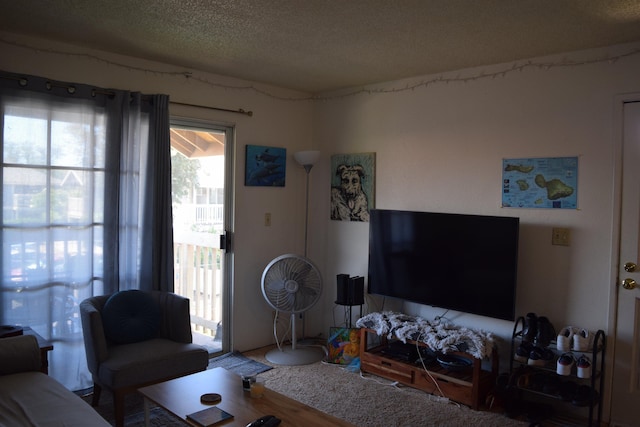 140 Uwapo Rd Unit 41-203, Kihei, HI 96753 - living room with a textured ceiling
