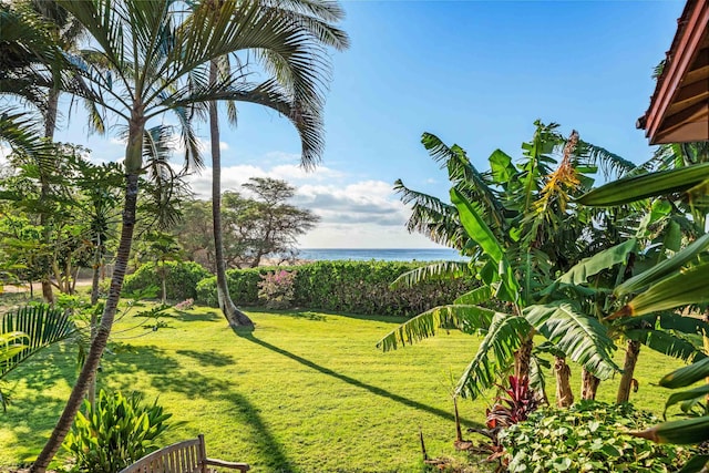 view of yard with a water view