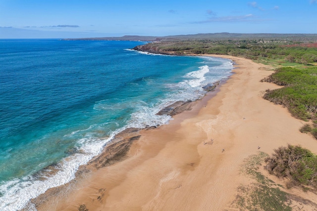 aerial view with a water view and a view of the beach