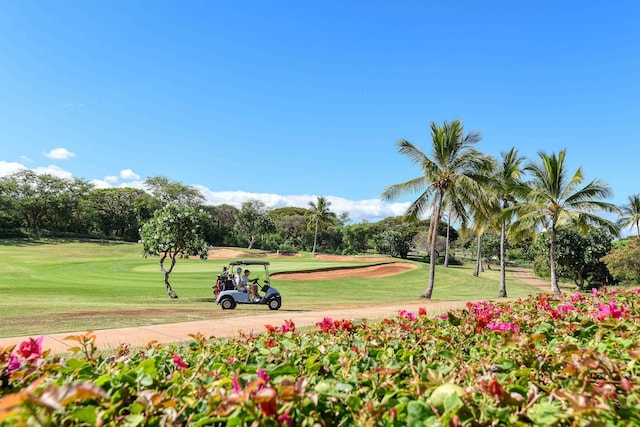 580 Halelea St Unit 3, Kihei, HI 96753
