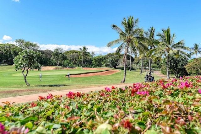 580 Halelea St Unit 3, Kihei, HI 96753