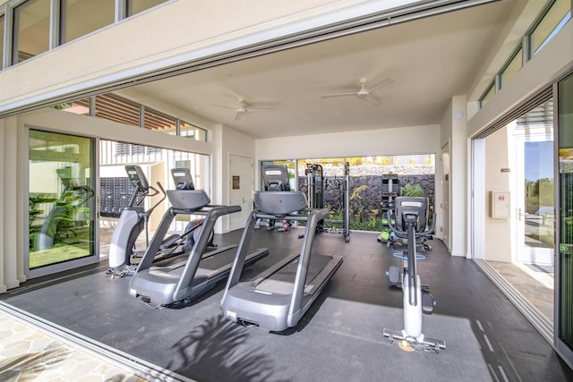 gym featuring ceiling fan