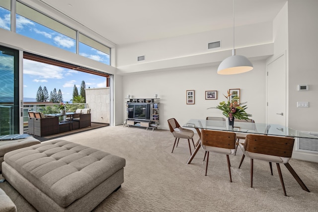 living room with carpet and a high ceiling