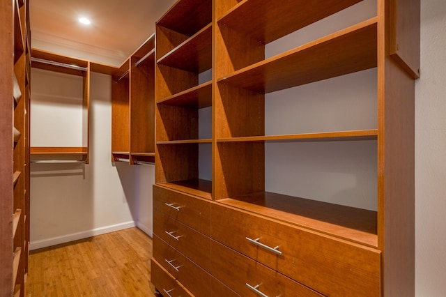 walk in closet with light wood finished floors