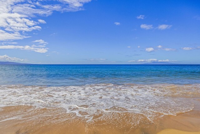 property view of water with a view of the beach