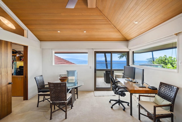 4000 Wailea Alanui Dr Unit 502, Kihei, HI 96753 - office space featuring wooden ceiling, lofted ceiling, light colored carpet, and recessed lighting