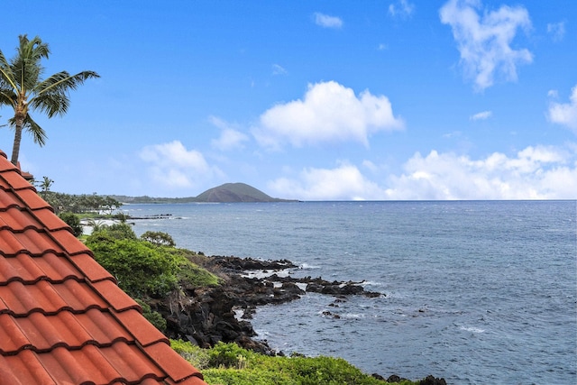 4000 Wailea Alanui Dr Unit 502, Kihei, HI 96753 - water view