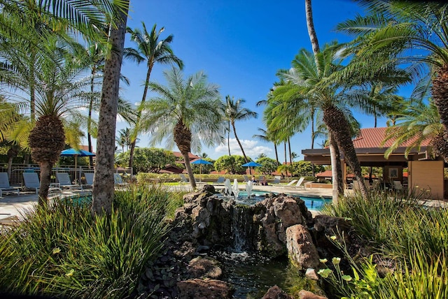 4000 Wailea Alanui Dr Unit 502, Kihei, HI 96753 - view of community pool