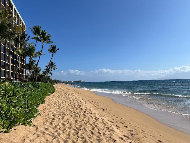 water view featuring a view of the beach