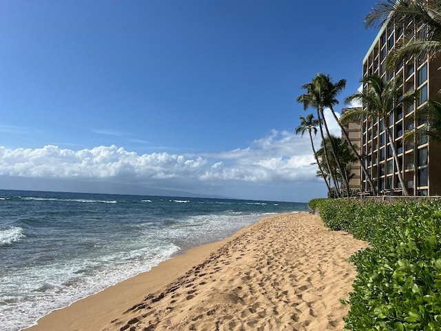 property view of water featuring a beach view