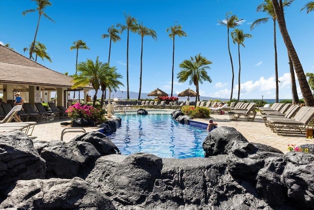 view of swimming pool featuring a patio