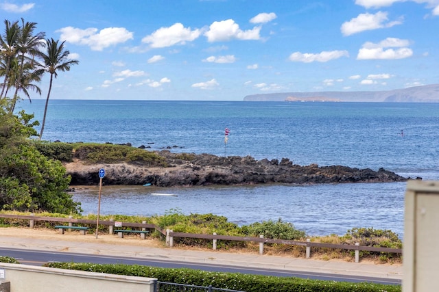 property view of water featuring a mountain view