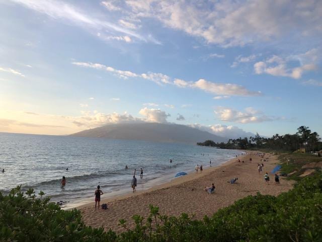 water view featuring a beach view