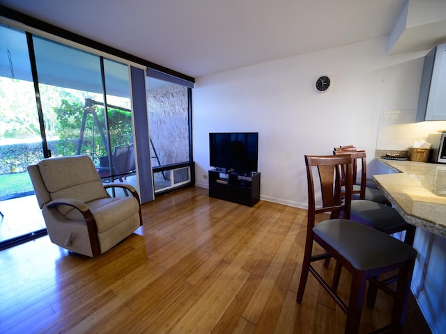 living room featuring light hardwood / wood-style floors and a wall of windows