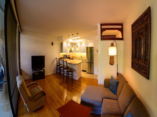 living room with wood-type flooring and sink