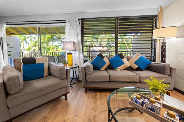 living room featuring light wood-type flooring