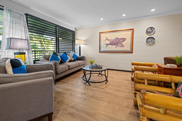 living room featuring light hardwood / wood-style floors and ornamental molding