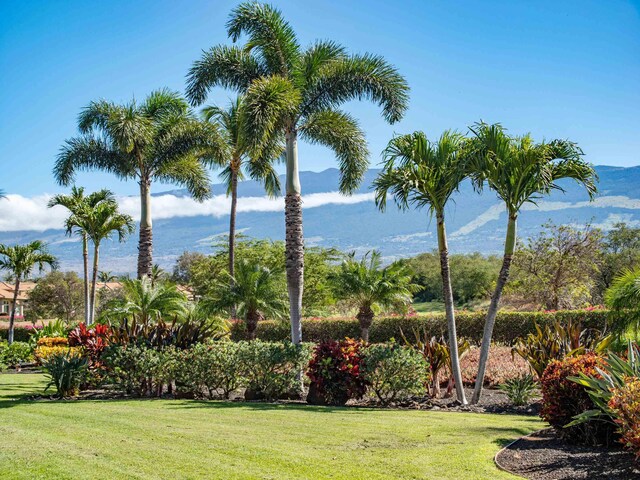 1699 Hihimanu St Unit 11, Kihei, HI 96753